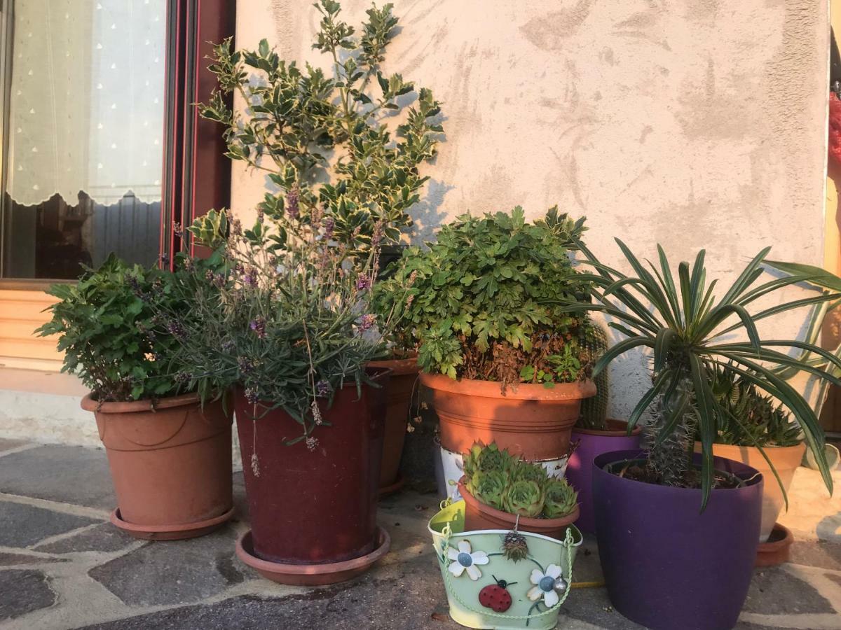 Puffele B&B Enego Bagian luar foto